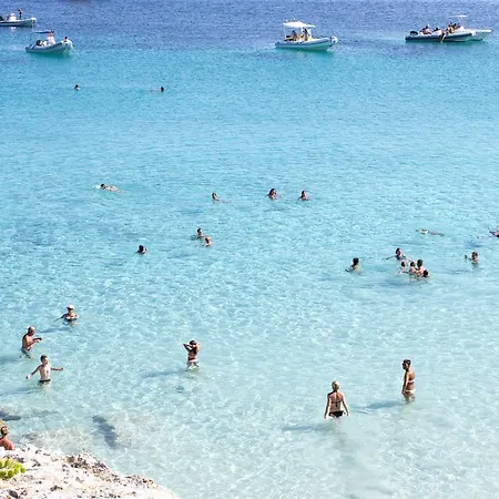 Alba Marina Castelluzzo